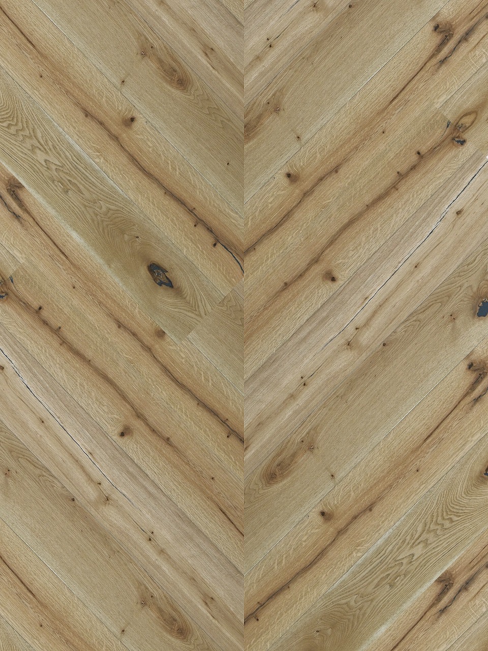 ワイルドオーク